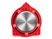 BM-100-CX Ben z Plug and Play System Car Audio