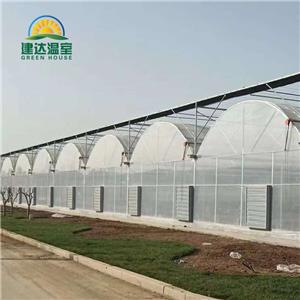 Agricultural Multi Span Greenhouse For Vegetable