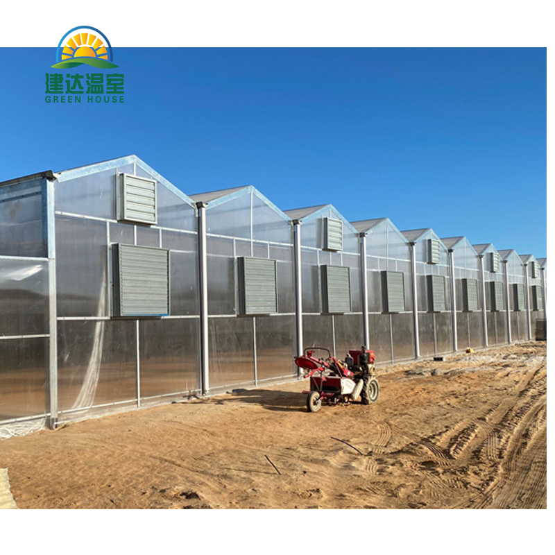 Smart PC Greenhouse For Planting Lettuce