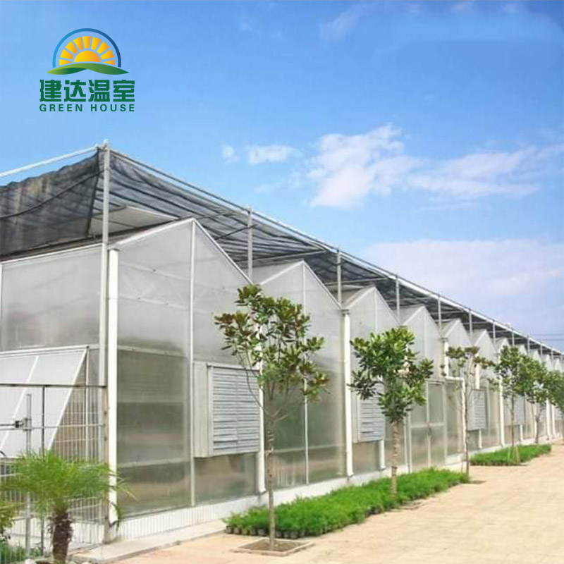 Vegetable Greenhouse For Tomatoes Cucumber Lettuce