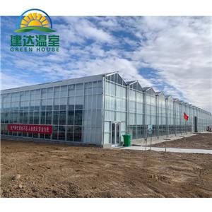 Intelligent Glass Greenhouse With Drip Irrigation System