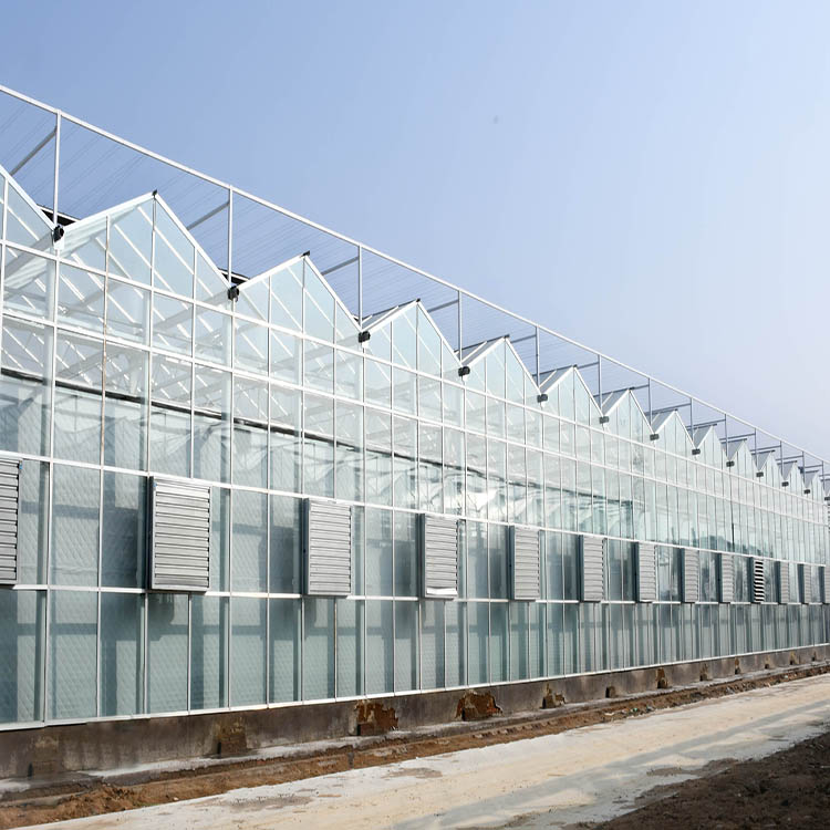 glass greenhouse (2).jpg glass greenhouse (2).jpg