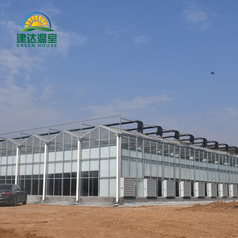 Tempered Glass Greenhouse For Vegetables