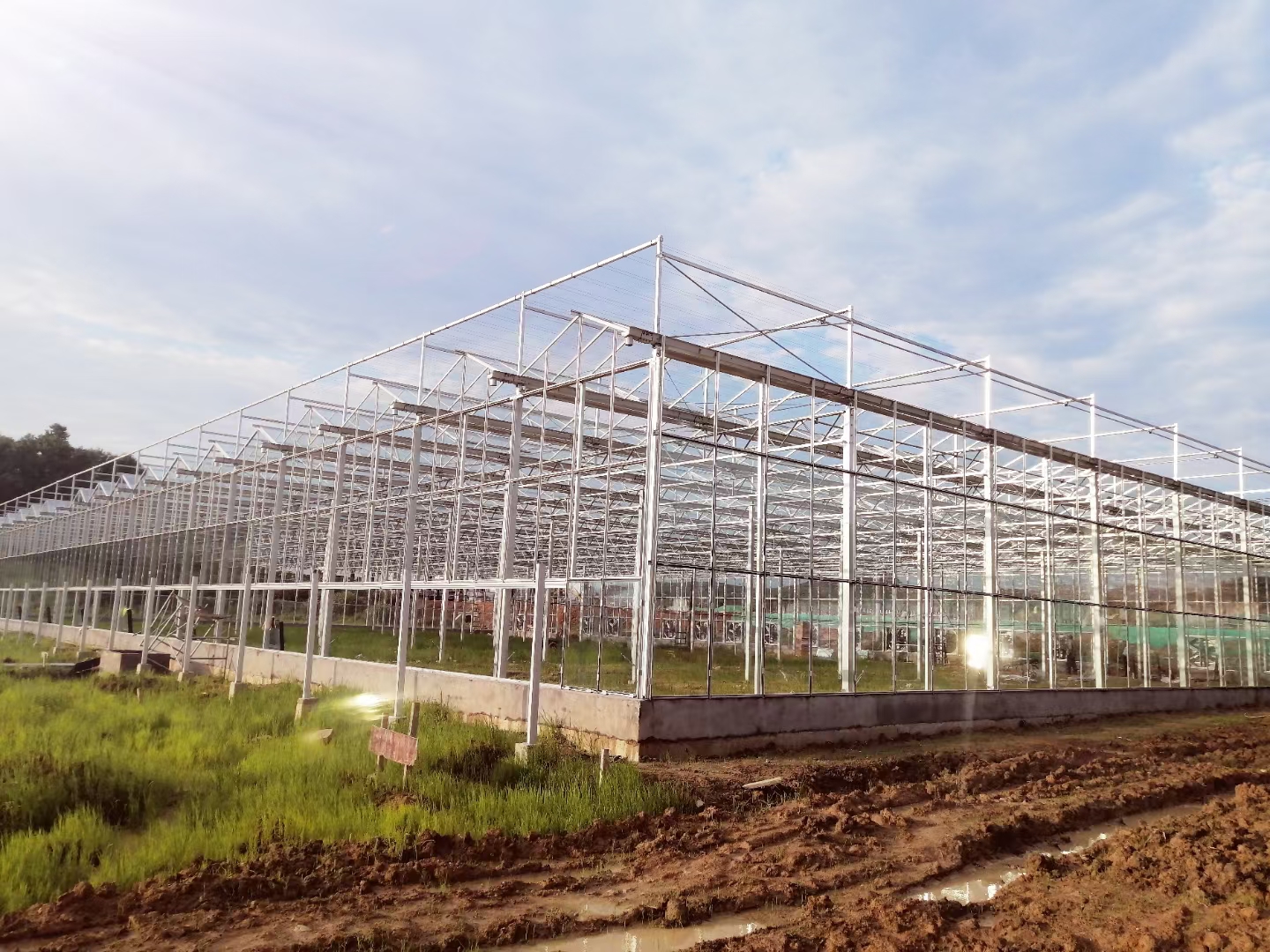 Tempered Glass Greenhouse.jpg Tempered Glass Greenhouse.jpg