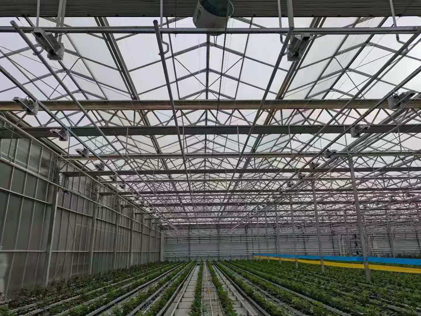 glass greenhouse frame.jpg glass greenhouse frame.jpg