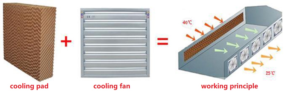 working principle1.jpg working principle1.jpg