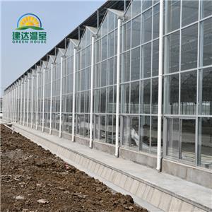 Modern Agriculture Equipment Glass Greenhouses