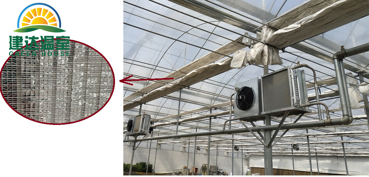 green house inner shading net.jpg