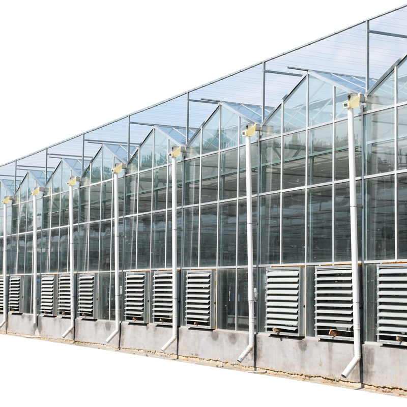 Commercial Multispan Glass Green House