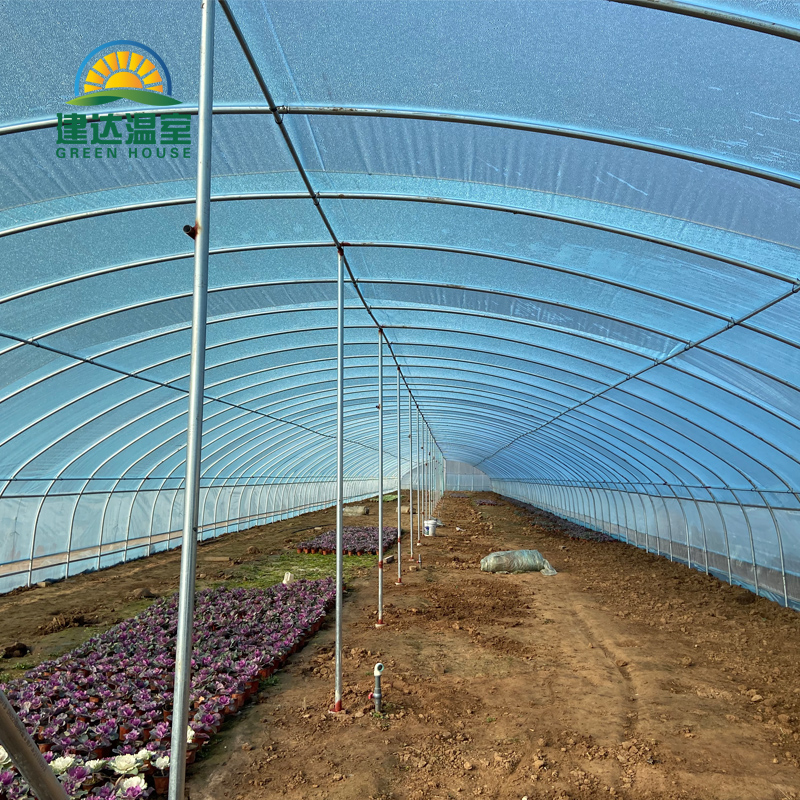Hot Galvanized Steel Structure Green House