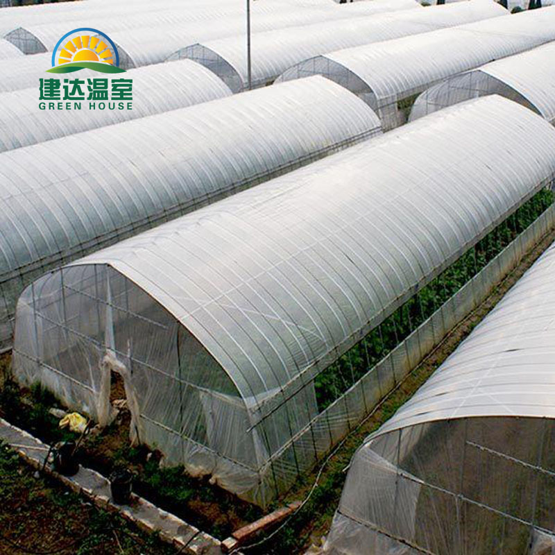 greenhouse.jpg