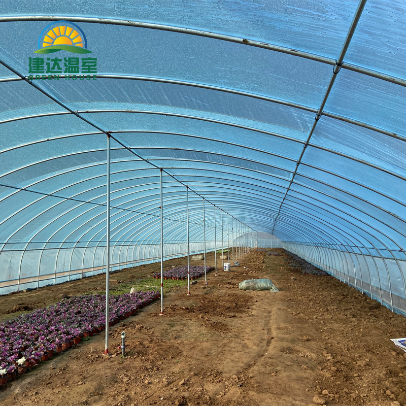 Farm Tunnel Greenhouse