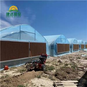 Single Tunnel Steel Greenhouse