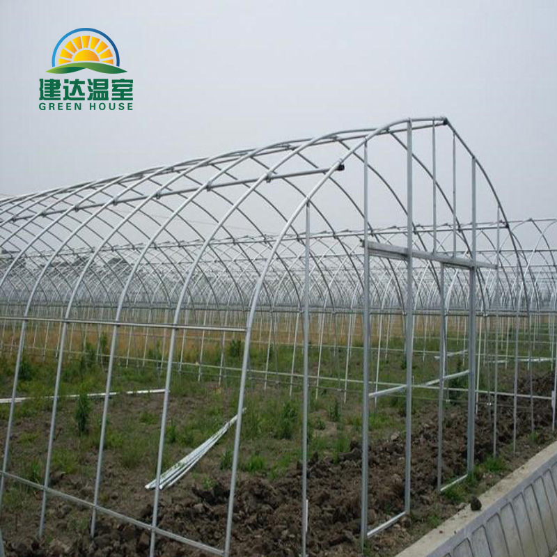 Tunnel Greenhouse (2).jpg Tunnel Greenhouse (2).jpg