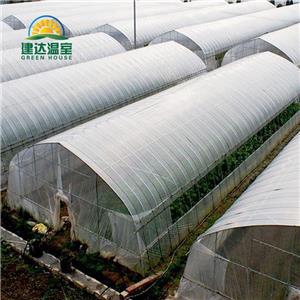 Simple Structure Tunnel Covered PE Film Greenhouse