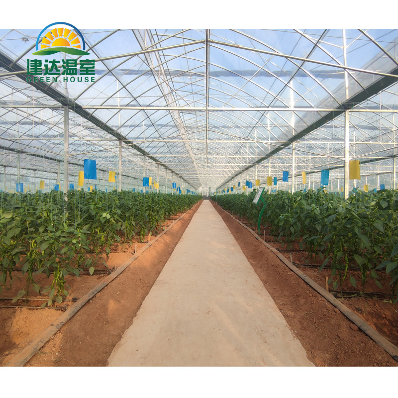 Top Cross Vent Greenhouse