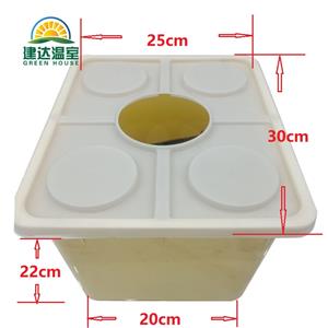Dutch Bucket Hydroponics Growing