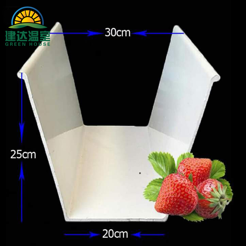 groove strawberry.jpg groove strawberry.jpg