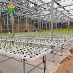 NFT Gully Hydroponic Growing System
