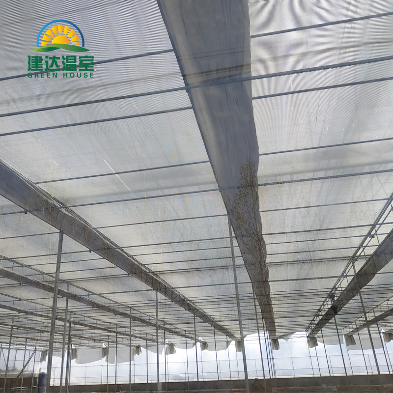 Uv Treated Shade Net
