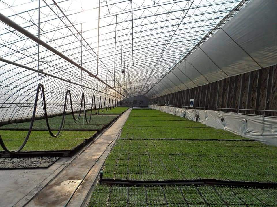 watering.jpg watering.jpg