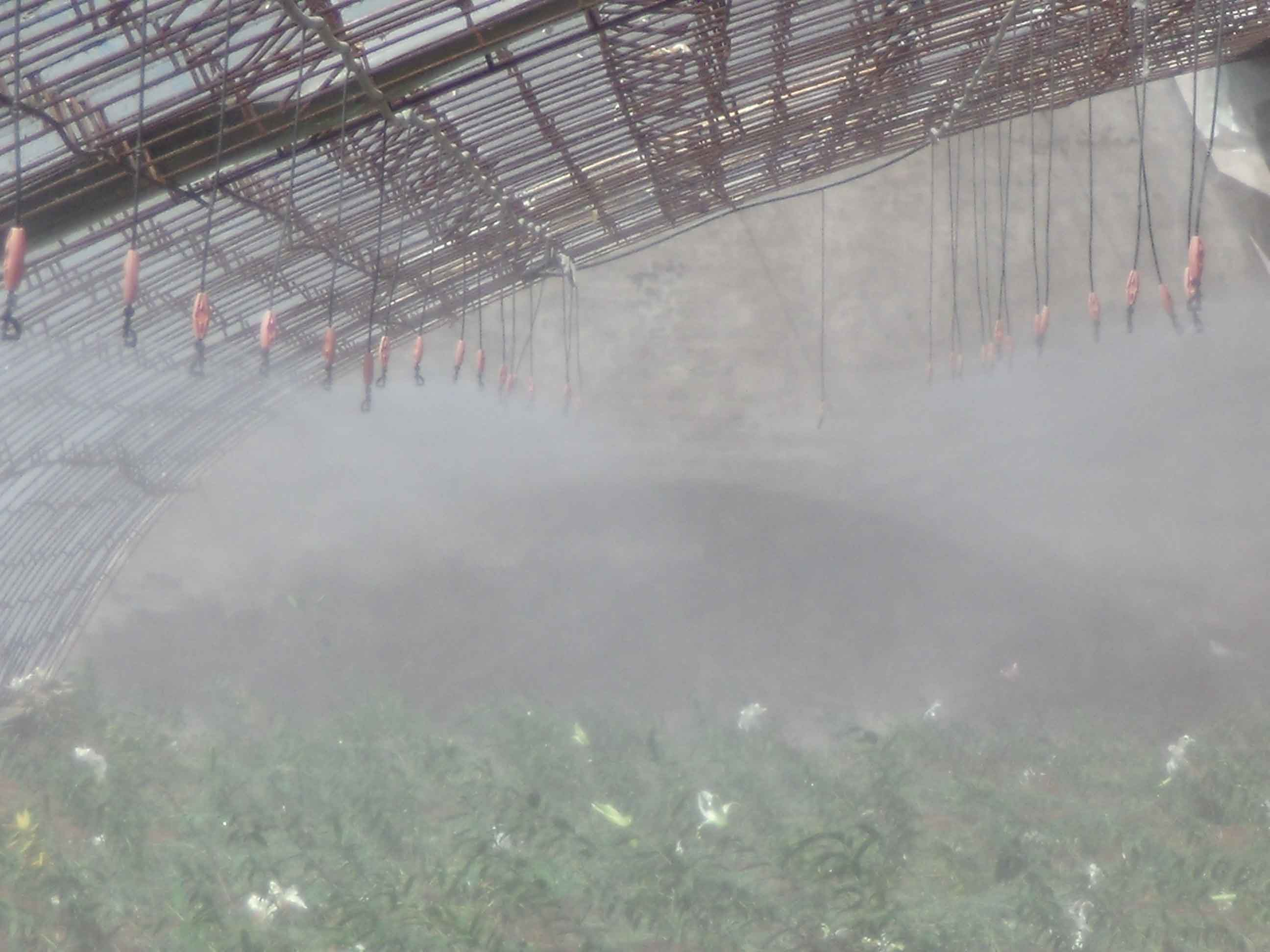 Greenhouse With Drip Irrigation System.png Greenhouse With Drip Irrigation System.png
