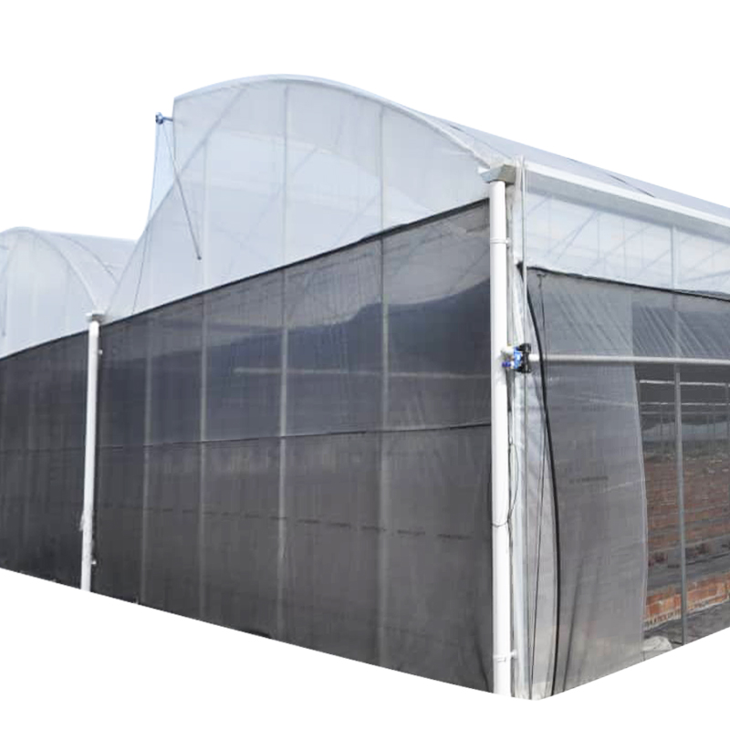 2024 Poly film large greenhouse