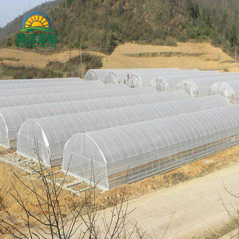 single simple poly greenhouse