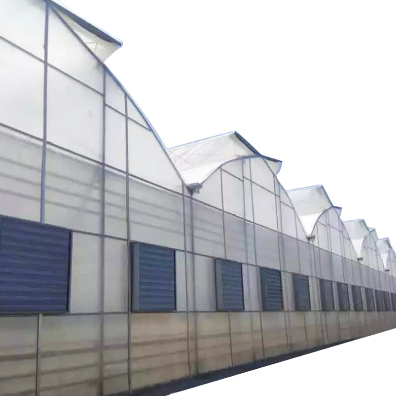 top window greenhouse with pinion and rack