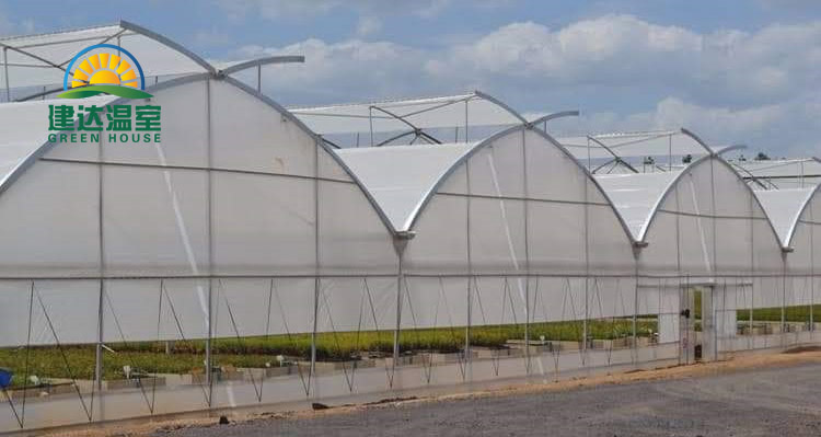 greenhouse