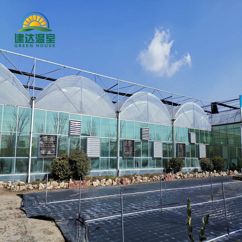 multi span poly film greenhouse