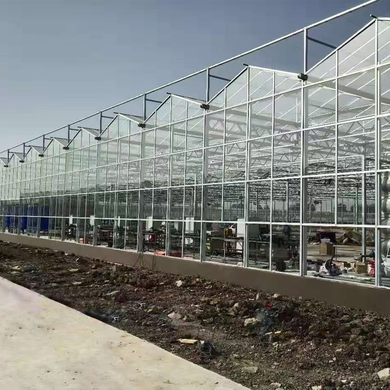 class greenhouse for tomato planting