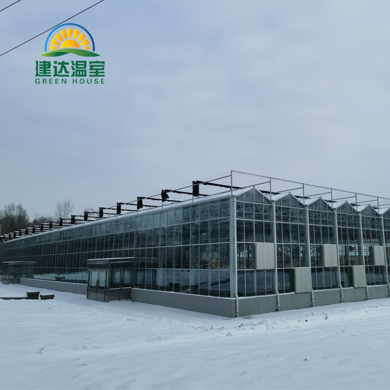 glass greenhouse