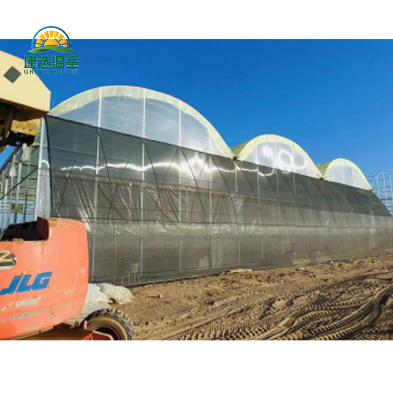 15000SQM film greenhouse in Saudi Arabia
