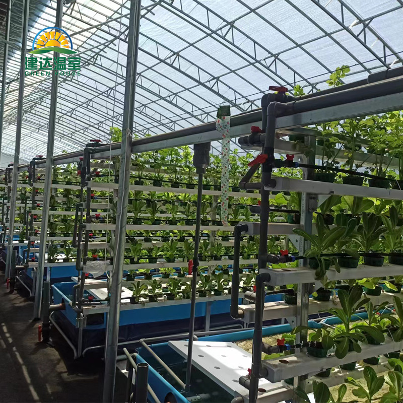 NFT PVC gutter planting