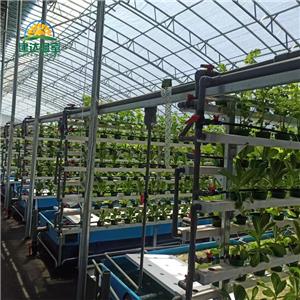 NFT PVC gutter planting