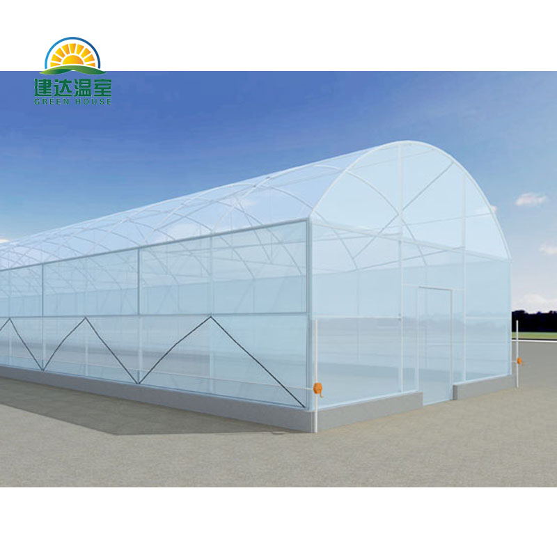 single tunnel greenhouse