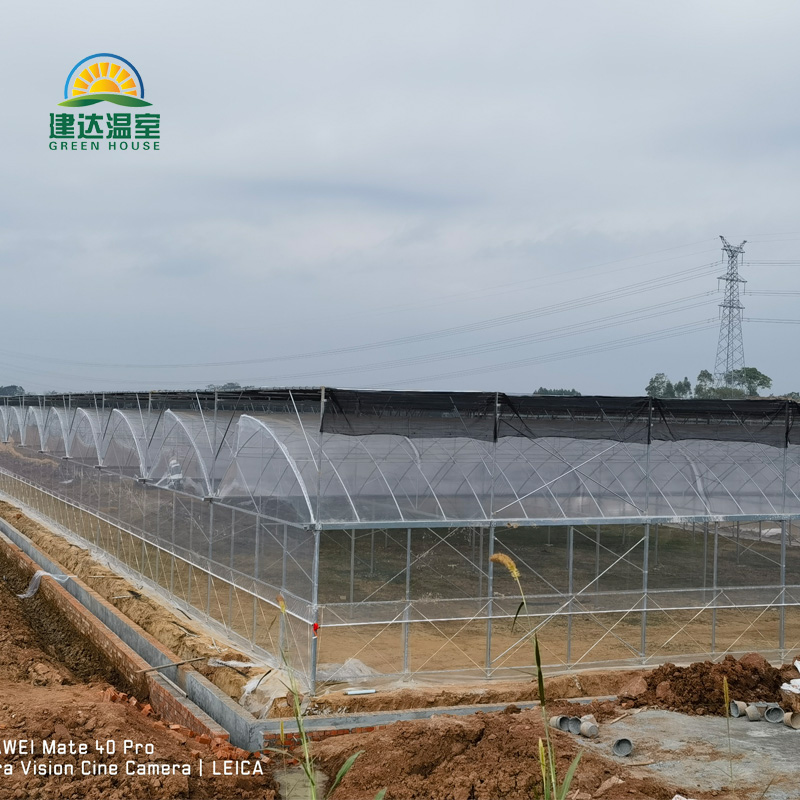 The most suitable greenhouse for Saudi Arabia