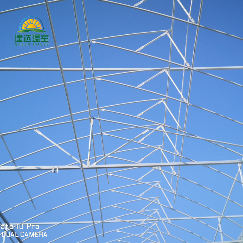 The most suitable greenhouse for Saudi Arabia