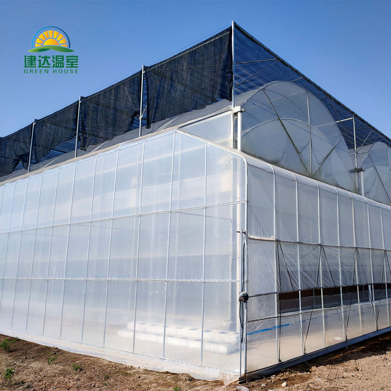 Comprar Invernadero agrícola con sistema de sombreado, Invernadero agrícola con sistema de sombreado Precios, Invernadero agrícola con sistema de sombreado Marcas, Invernadero agrícola con sistema de sombreado Fabricante, Invernadero agrícola con sistema de sombreado Citas, Invernadero agrícola con sistema de sombreado Empresa.
