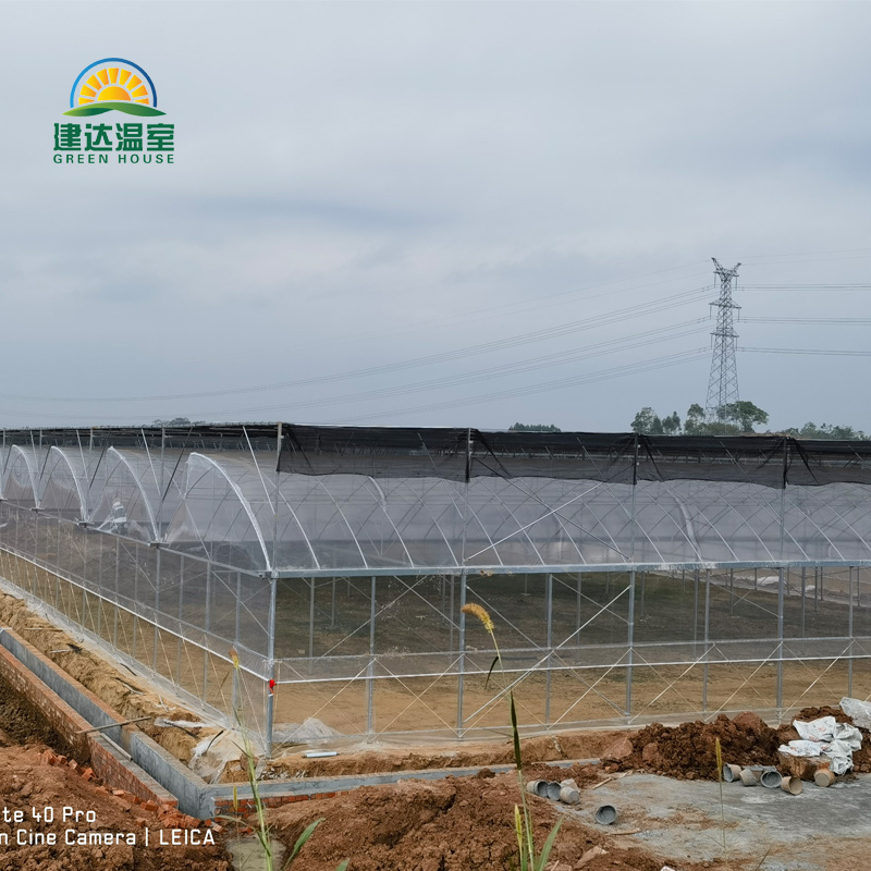 Comprar Invernadero agrícola con sistema de sombreado, Invernadero agrícola con sistema de sombreado Precios, Invernadero agrícola con sistema de sombreado Marcas, Invernadero agrícola con sistema de sombreado Fabricante, Invernadero agrícola con sistema de sombreado Citas, Invernadero agrícola con sistema de sombreado Empresa.