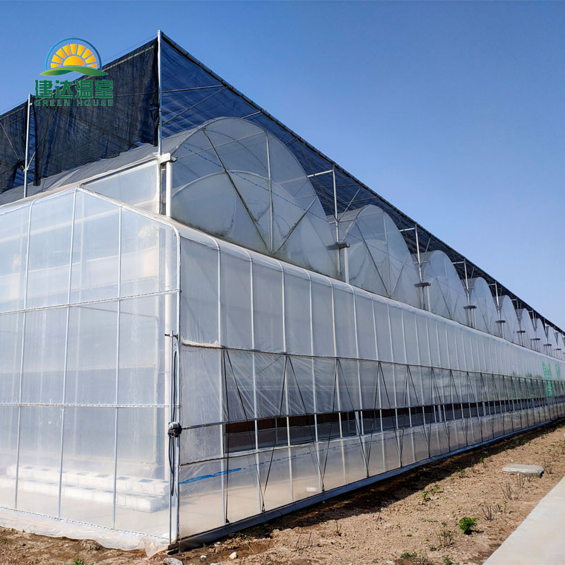agriculture greenhouse