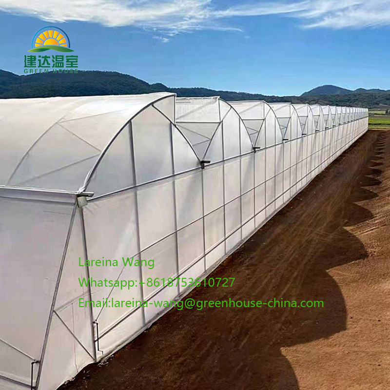 shading greenhouse