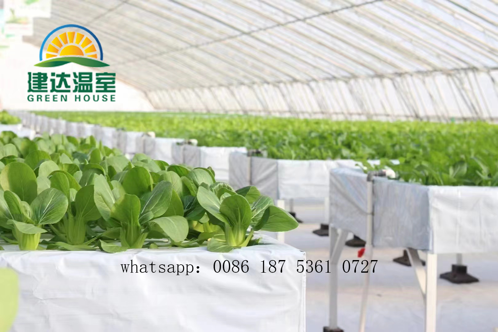 Soilless cultivation
