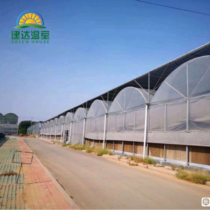 Chinese Greenhouse Construction in the Middle East