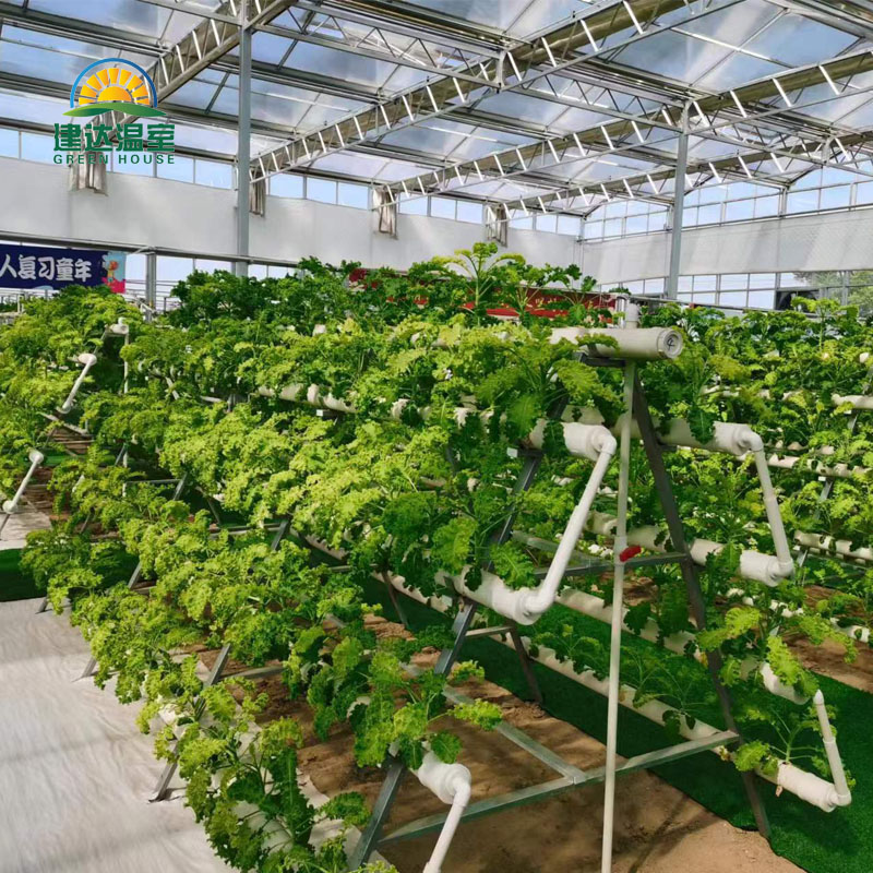 Chinese Greenhouse Construction in the Middle East
