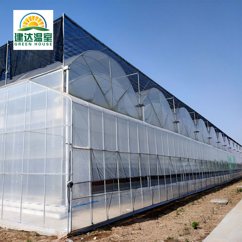 multi-span greenhouse