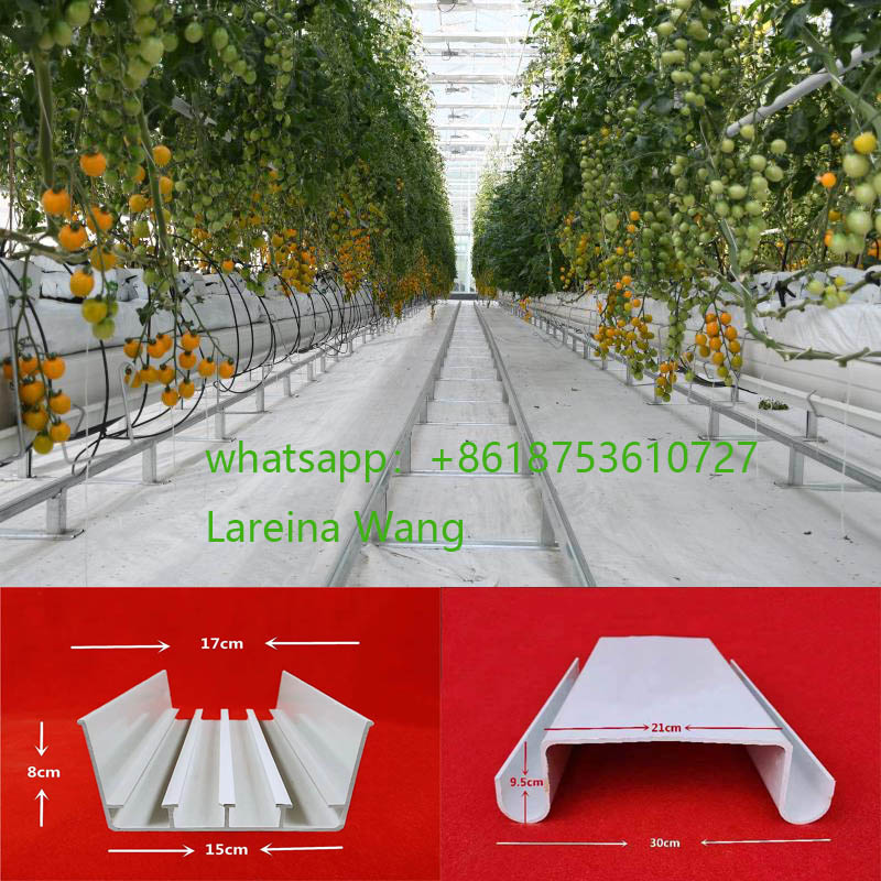 Tomato Greenhouse Tomato Greenhouse