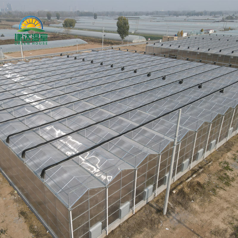 greenhouse greenhouse