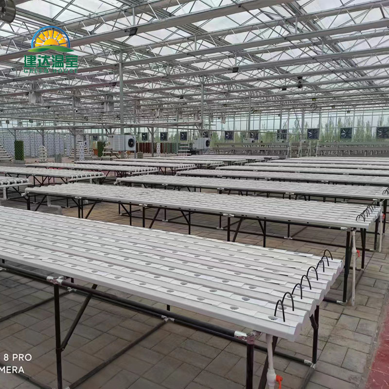 Hydroponic Greenhouse Project for Lettuce in the Middle East